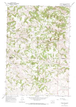 Lacey Gulch topo map