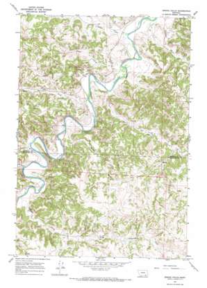 Spring Gulch USGS topographic map 45106b6
