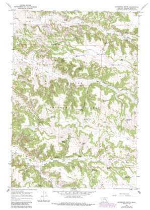 Goodspeed Butte topo map