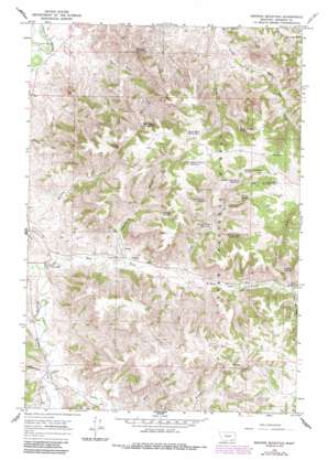 Browns Mountain USGS topographic map 45106c4