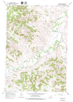 Browns Mountain USGS topographic map 45106c5
