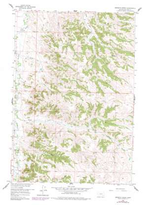 Birdseye Spring USGS topographic map 45106d8