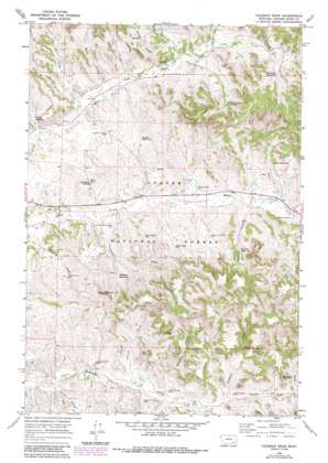 Home Creek Butte USGS topographic map 45106e1