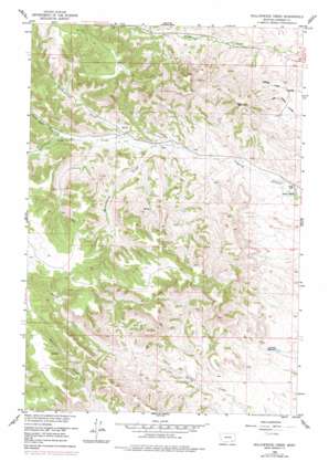 Hollowwood Creek USGS topographic map 45106e4