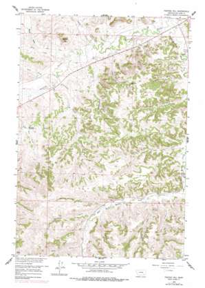 Painted Hill topo map