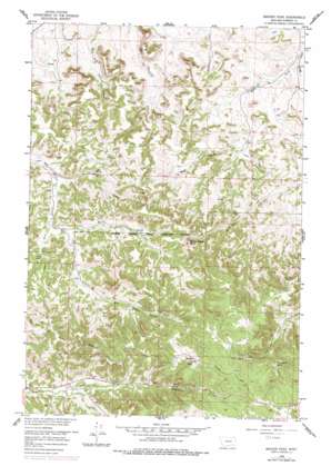 Badger Peak USGS topographic map 45106f5