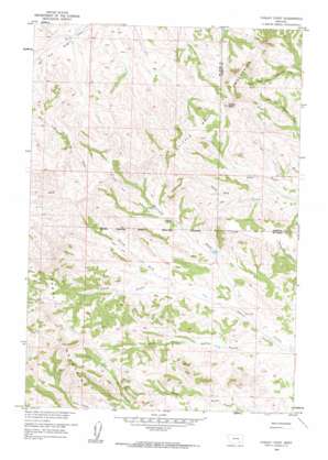 Chalky Point topo map