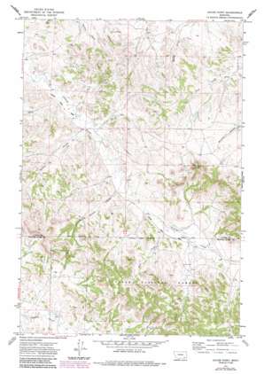 Hayes Point topo map