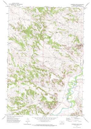 Hammond Draw USGS topographic map 45106g3