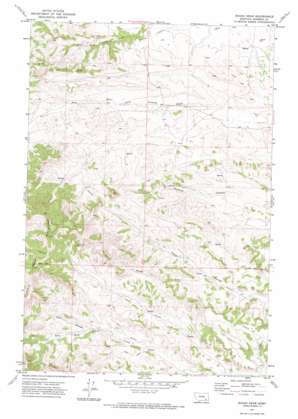 Rough Draw USGS topographic map 45106g7