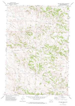 John Hen Creek USGS topographic map 45106h3