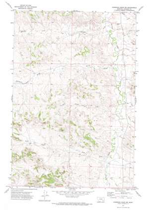 Hammond Draw NW USGS topographic map 45106h4