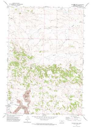 Colstrip East USGS topographic map 45106h5