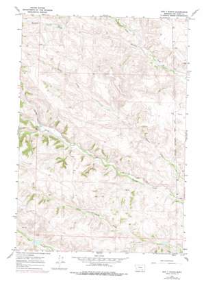 Bar V Ranch USGS topographic map 45107a1