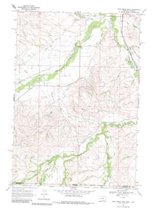 Pass Creek West USGS topographic map 45107a4
