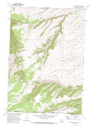 Red Springs topo map