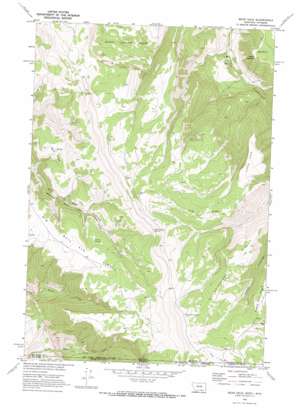 Bear Hole USGS topographic map 45107a8