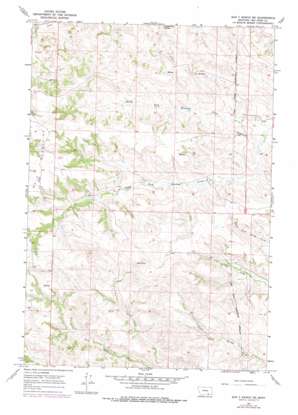 Bar V Ranch NE USGS topographic map 45107b1