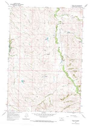 Wyola NE USGS topographic map 45107b3
