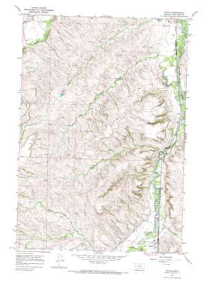 Wyola USGS topographic map 45107b4
