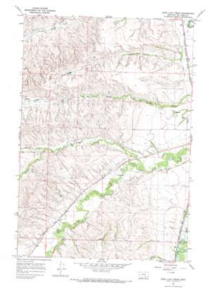 Good Luck Creek USGS topographic map 45107c4