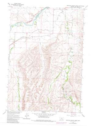 Mountain Pocket Creek USGS topographic map 45107c7