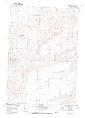 Camp Four USGS topographic map 45107d8