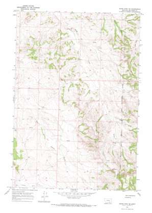 Jeans Fork Ne USGS topographic map 45107f1