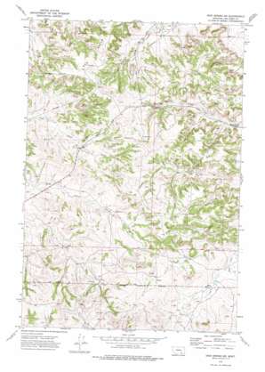 Iron Spring USGS topographic map 45107g2