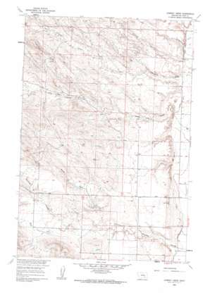Chimney Creek USGS topographic map 45107g6