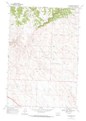 Blue Spring USGS topographic map 45107g7