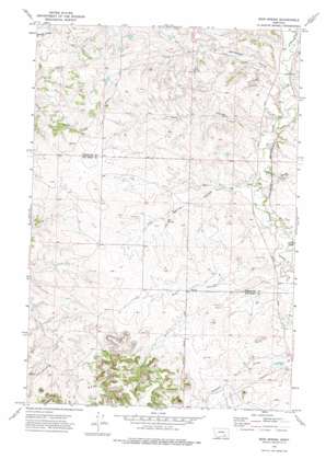 Iron Spring USGS topographic map 45107h2