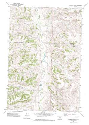 Hammond Ranch USGS topographic map 45107h3