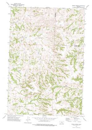 Dudley Spring topo map