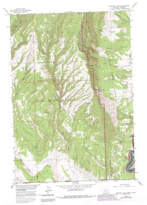 Mystery Cave USGS topographic map 45108a3