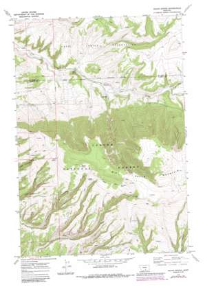 East Pryor Mountain USGS topographic map 45108b5