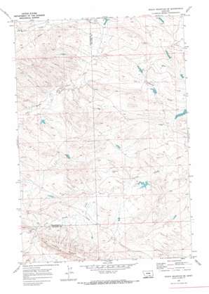 Billings USGS topographic map 45108e1