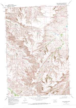 Soda Springs USGS topographic map 45108e3
