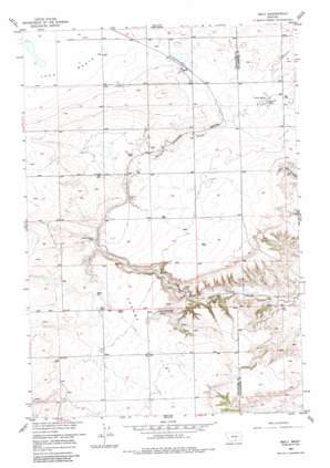 Molt USGS topographic map 45108g8