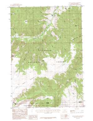 Mount Maurice USGS topographic map 45109a3