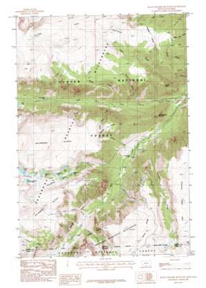 Black Pyramid Mountain USGS topographic map 45109a4