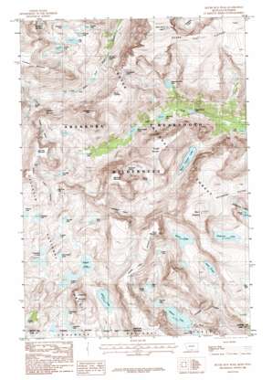 Silver Run Peak USGS topographic map 45109a5