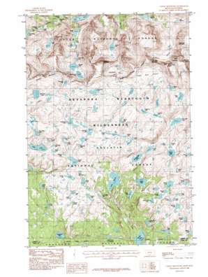 Silver Run Peak USGS topographic map 45109a6
