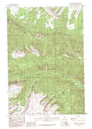 Bare Mountain USGS topographic map 45109b4