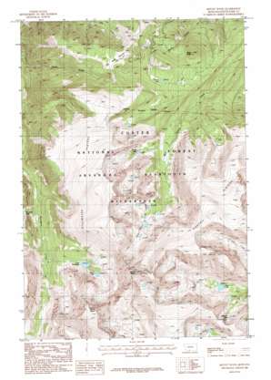 Mount Wood topo map