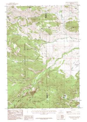 Meyer Mountain USGS topographic map 45109d8