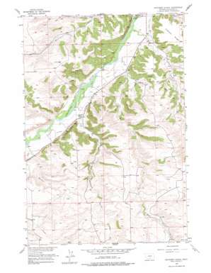 Whitebird School USGS topographic map 45109e3