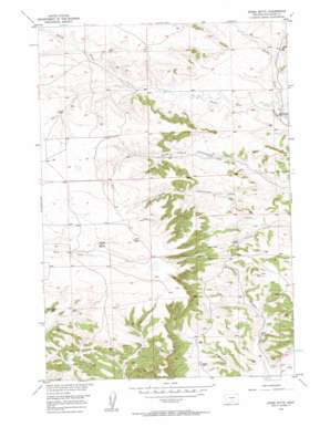 Horse Butte USGS topographic map 45109f1