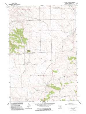 Antelope Point USGS topographic map 45109g4