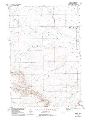 Rapelje USGS topographic map 45109h3